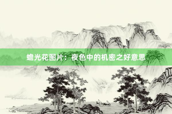 蟾光花图片：夜色中的机密之好意思