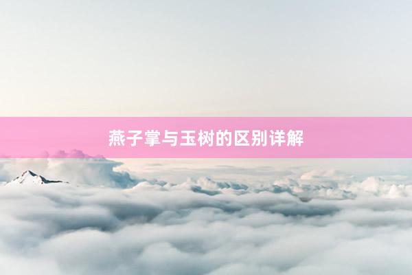 燕子掌与玉树的区别详解