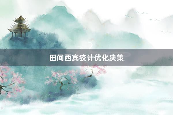 田间西宾狡计优化决策