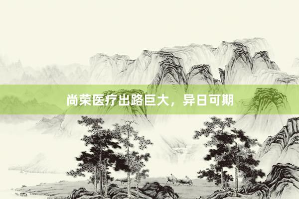 尚荣医疗出路巨大，异日可期