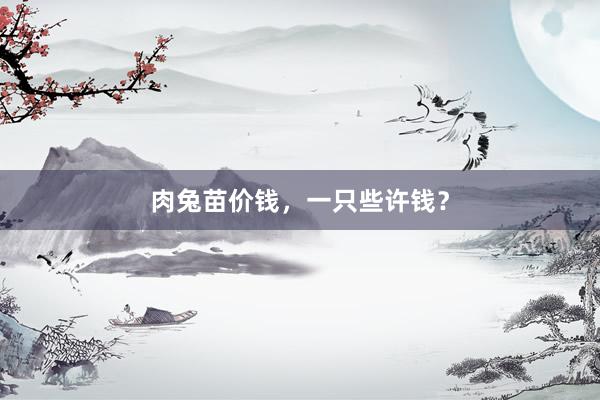 肉兔苗价钱，一只些许钱？