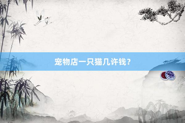 宠物店一只猫几许钱？