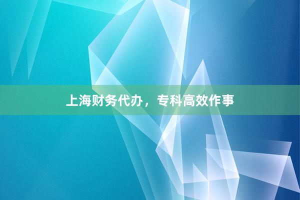 上海财务代办，专科高效作事