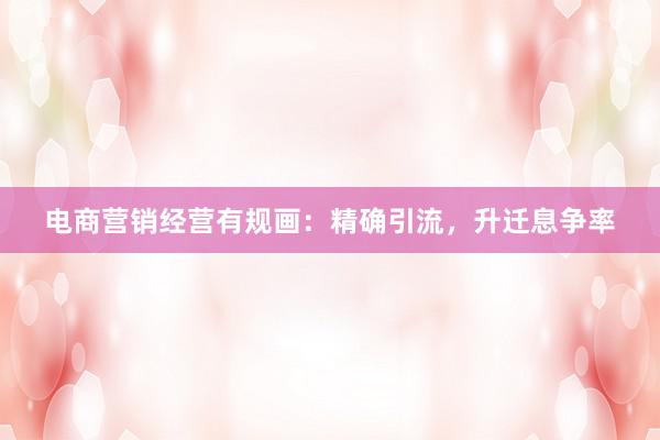 电商营销经营有规画:精确引流,升迁息争率
